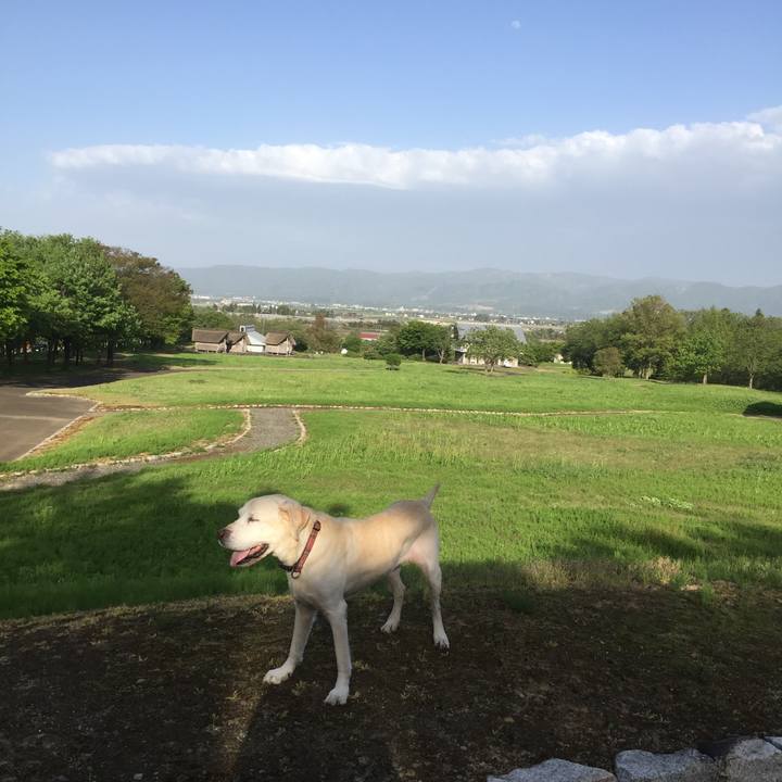 46d0ba25 d3fd 4b6c 9007 d0283e10d36b