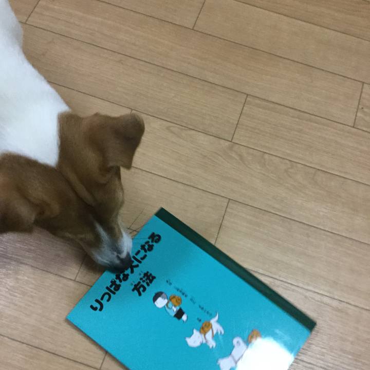 46d11deb f3db 45aa 8206 3a1e59ab67f9