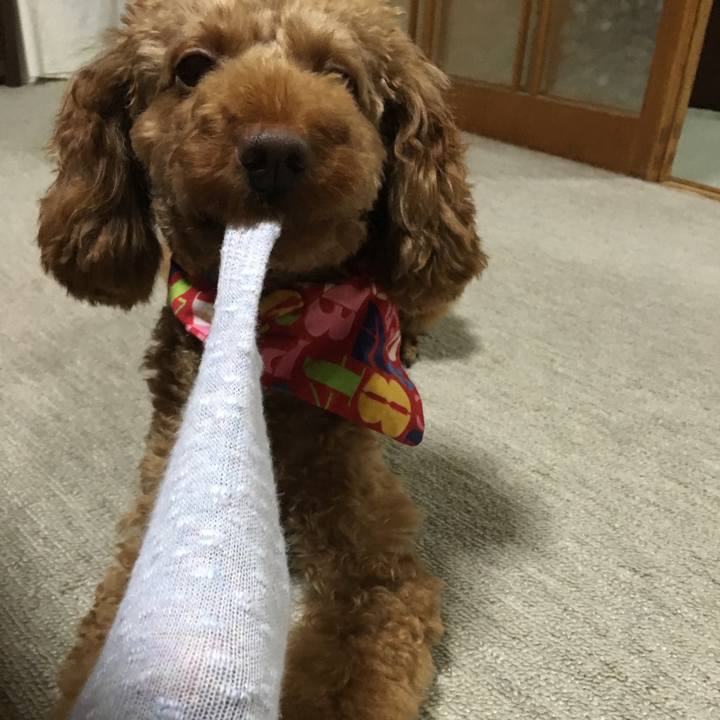 46d13f4d 8b79 4e32 b04f f6b9f4e51ee8