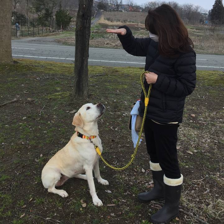 46d19cc7 3ef1 4869 983a 59d77ed7cfe6