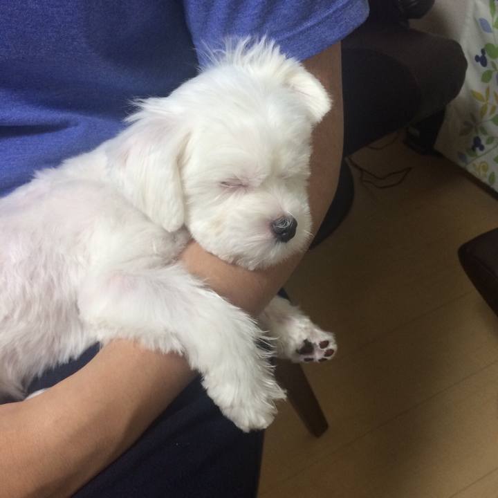 46d28fca 58e3 415d b877 259b3522d898