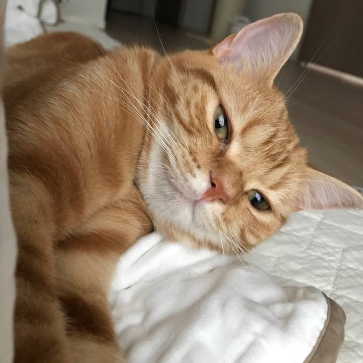 46d3552b 289a 4fc5 b902 f3ddc7101851