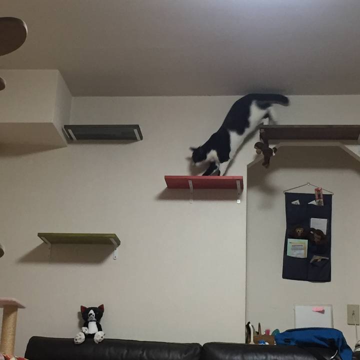 46d3be47 574d 469f bb5b 507af7fc12a5