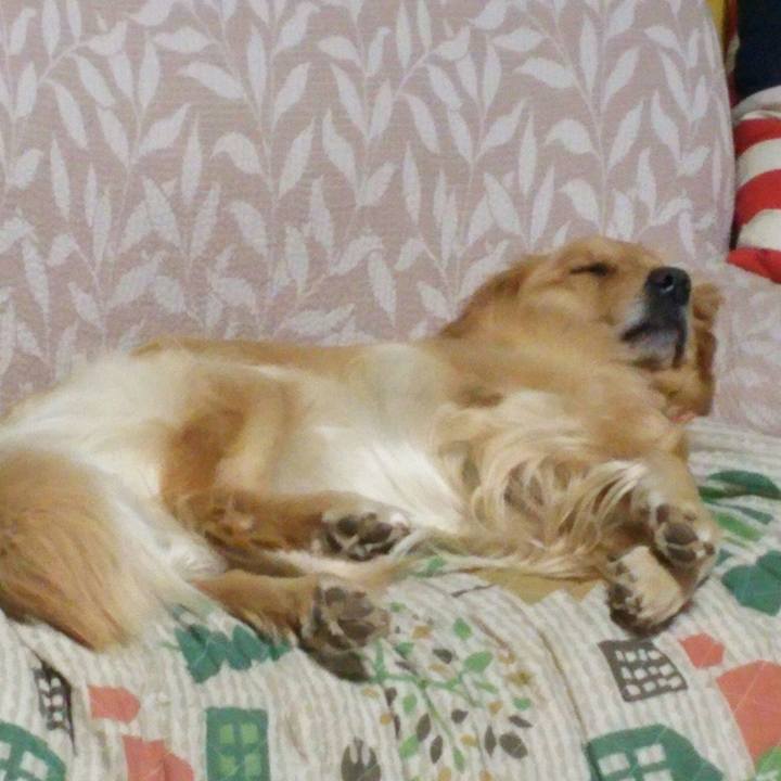 46d3ee05 53a9 40b4 a5c0 aa143dda9ea6