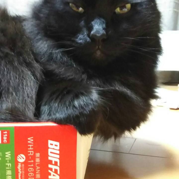 46d3f03e a5cc 4bc8 8291 98f8a676652c