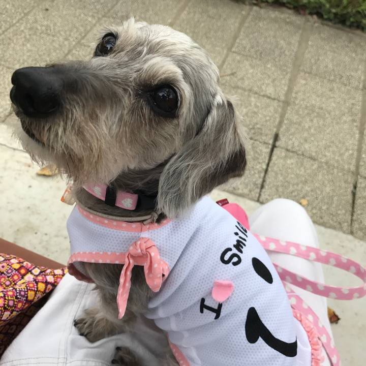 46d42b80 53dd 444b a708 a2ede83f1d94