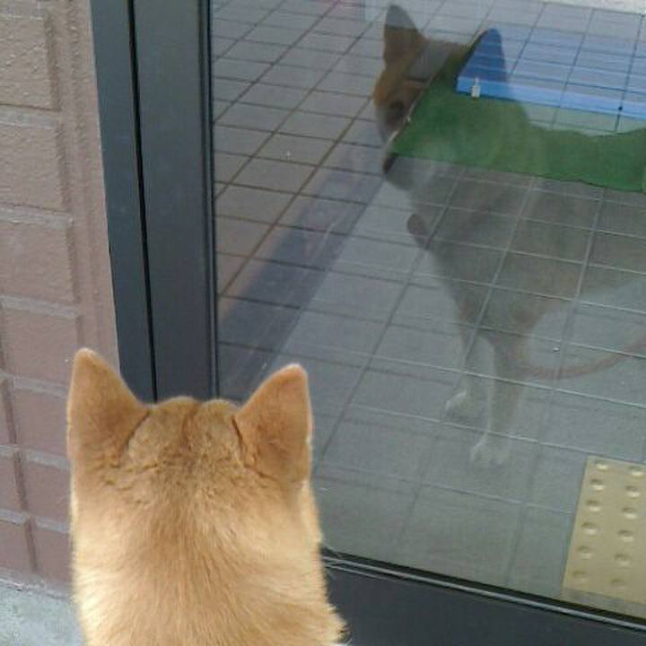 46d4348a 6647 4268 a73e 09839df52838