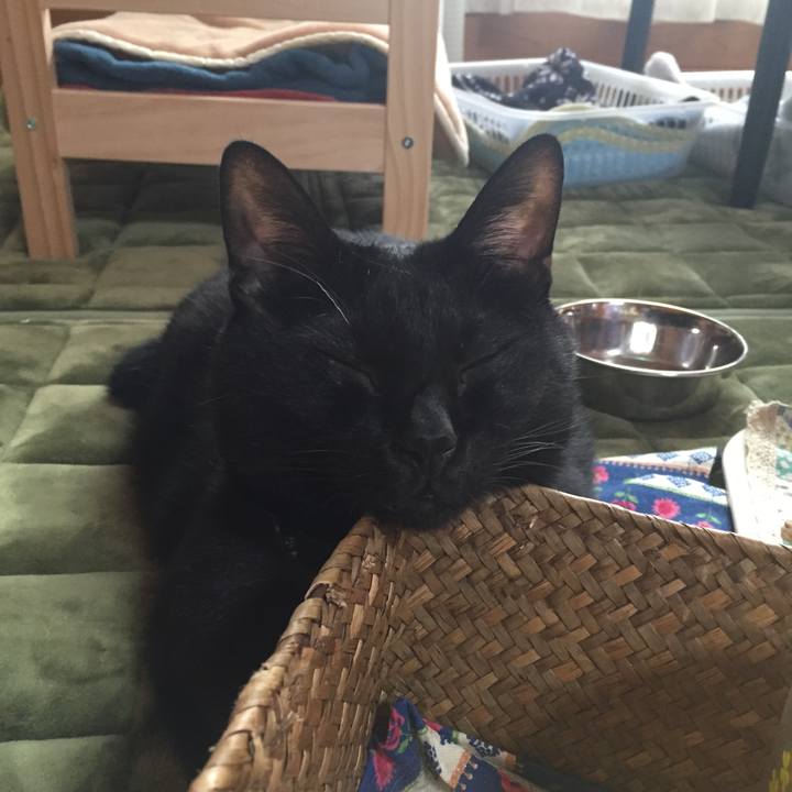 46d448d7 32d0 4a03 9e67 0486ea787e48