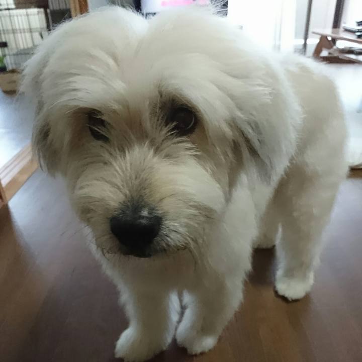 46d45a6c de65 4fe7 accc 996b3b1a652c