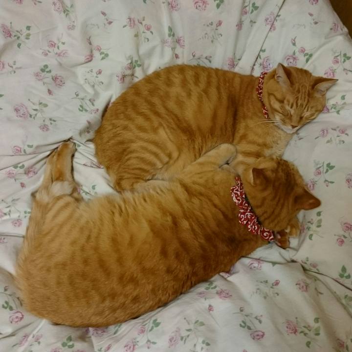 46d4a7a9 bde7 45b6 b0dc 4f0abbd10de3