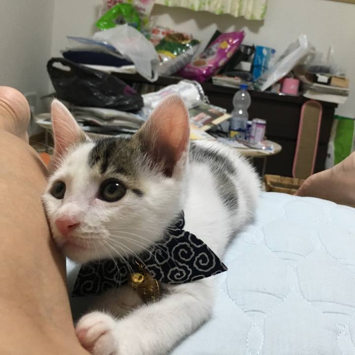 46d554cf a9b9 4918 96a8 ec205e3648e1