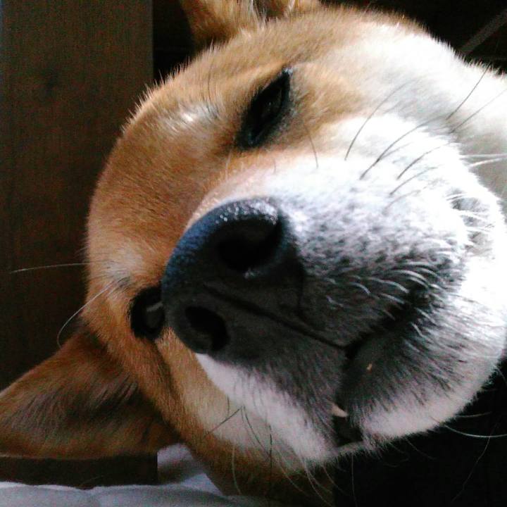 46d57b30 25bf 49c0 9f90 f3b199e3ceeb