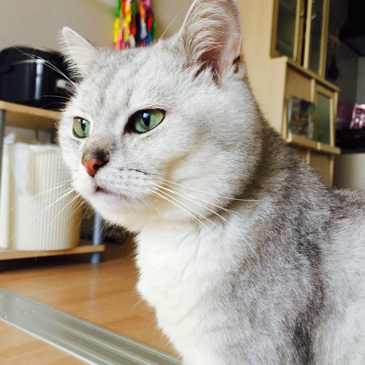 46d7dfba 1063 4328 9833 beedfeb3238e