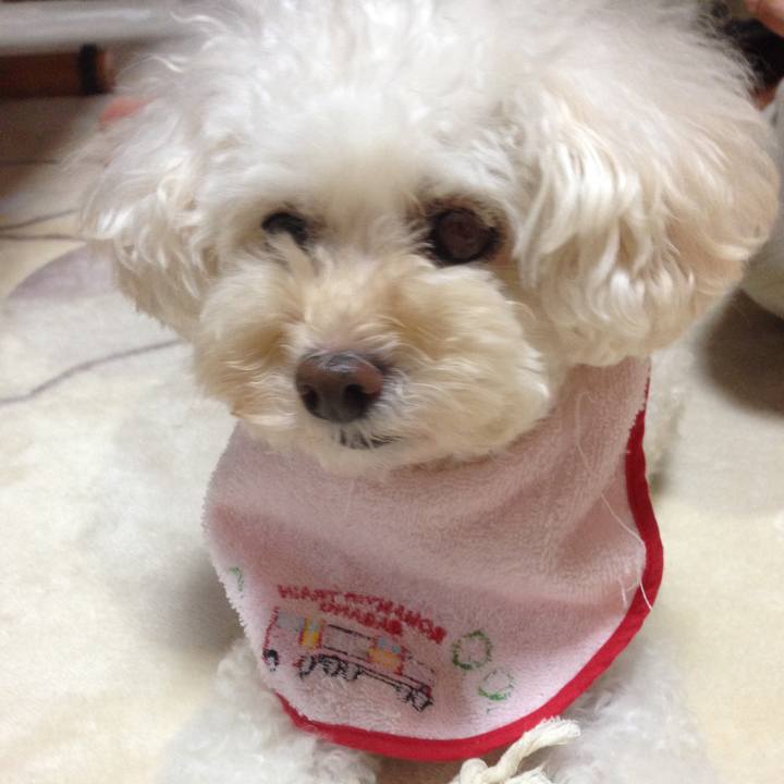 46d7dfd5 395b 406a 9e21 f2335f8ce04d