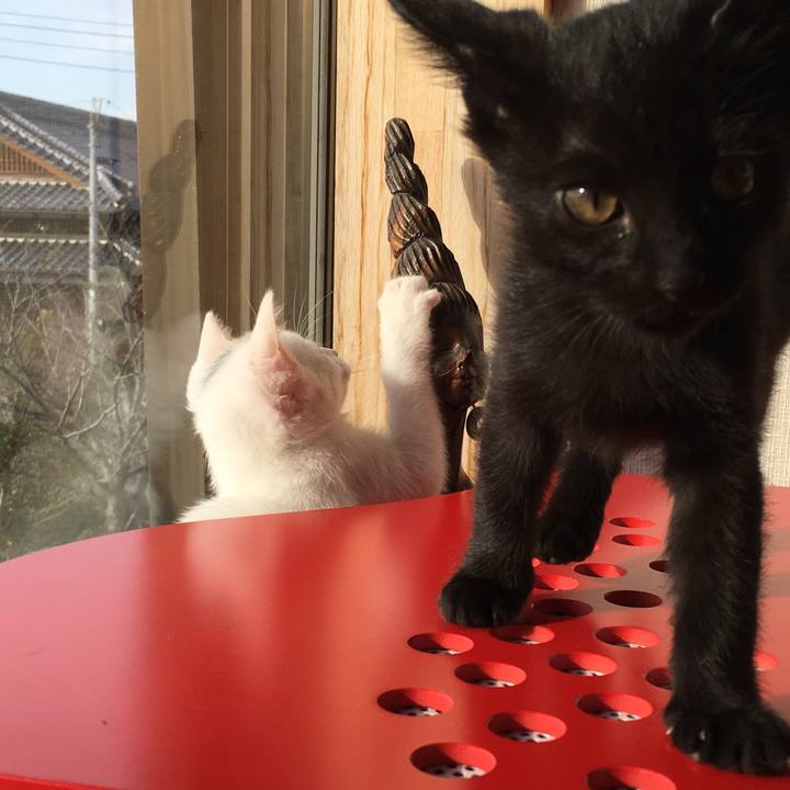 46d8147d 55b1 40d8 827d f620379fc058