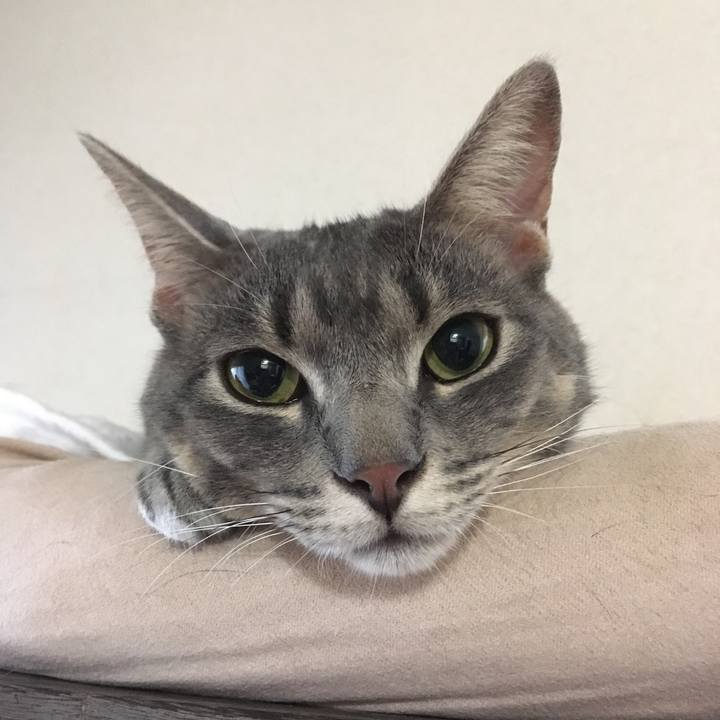 46d826a3 02eb 441e 925d a5c5607ca8b1