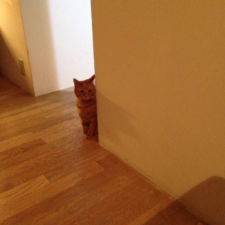 46d851a4 18a0 4bdc 9219 8e6e2b4c273e