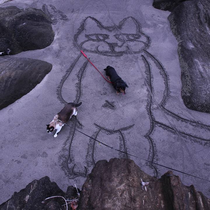 46d976ab 2fe8 4ee6 8337 ffd4337b7cd8