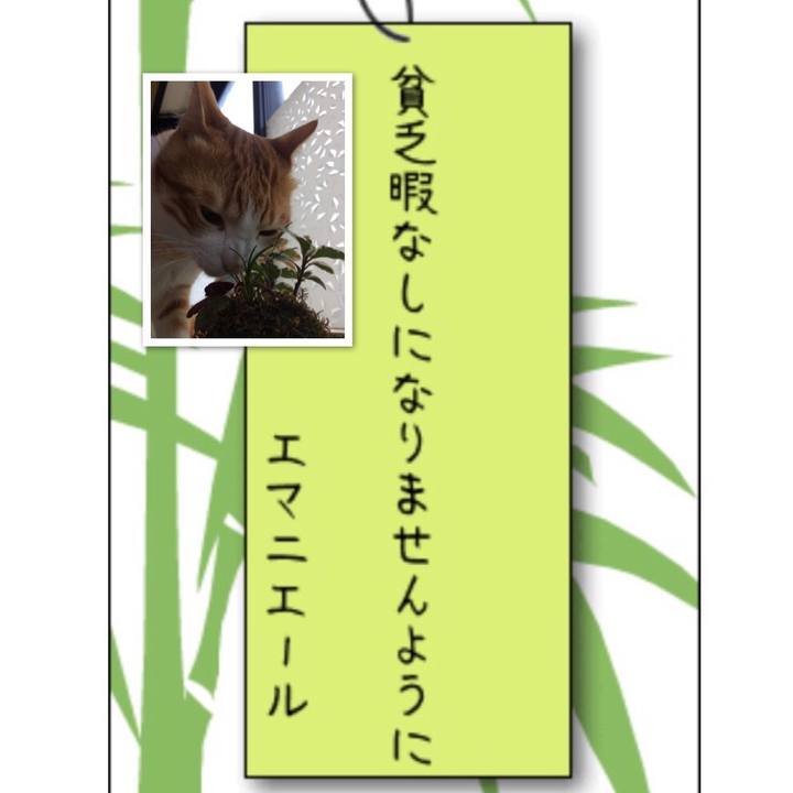 46db1009 65dc 498f a291 8724fecf8b57