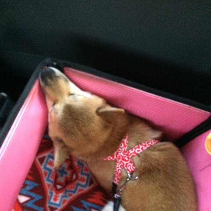 46dc2c73 83c6 47c4 9c1c 48f1fbacd419