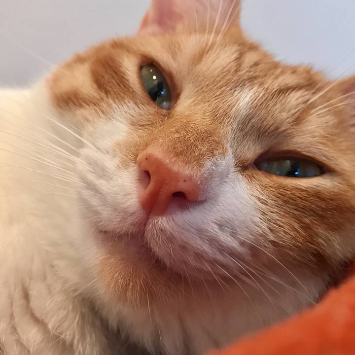 46dcafd2 61ff 456c 8acf 3ca09c4df3ab