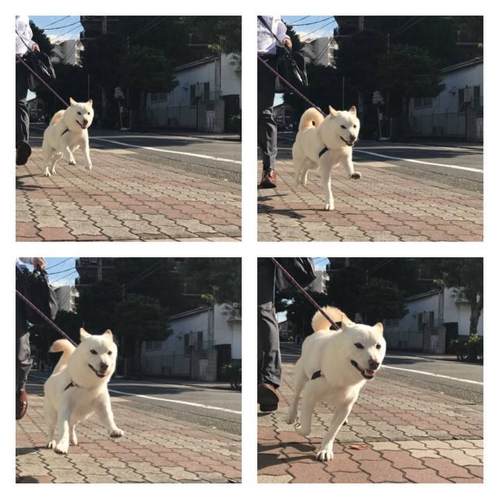 46dd1d7d 8d3c 4662 9341 c45412e86dd0