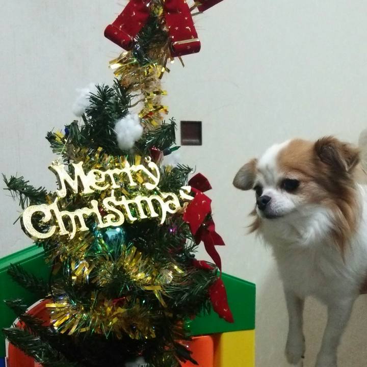 46de14d9 2d90 4fa3 90cd f22adbc4e259