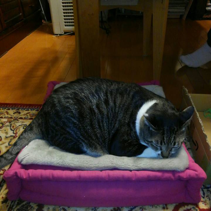 46df66f2 d8e4 4c5c 9088 bf4052e7edad