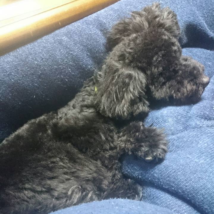 46e05fa8 1fd9 4581 9247 565780530e49