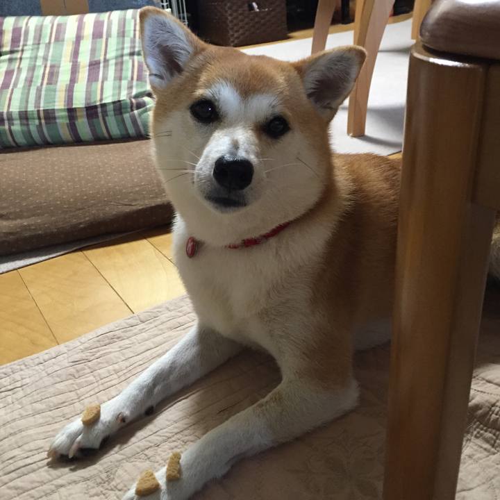 46e17491 cc48 4b3e 9ff5 08ccfbf1e72f