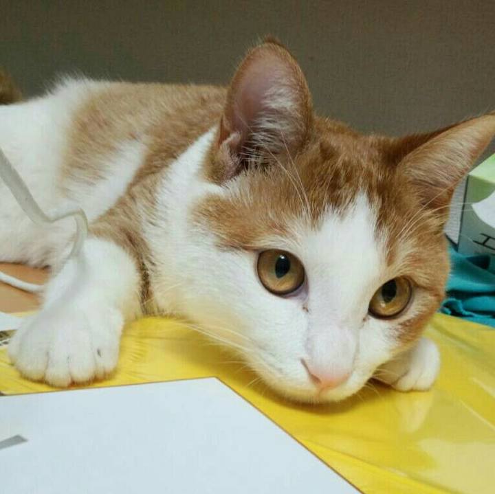 46e1d4a6 6e4a 458f b99c 64a4ed860595