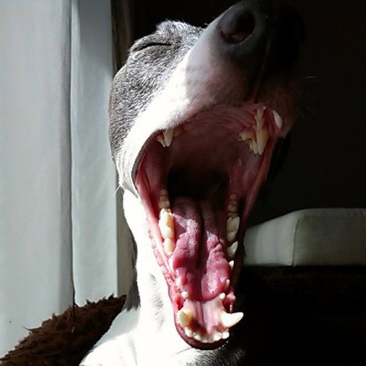 46e28026 a021 4170 b9c2 be1006071caf