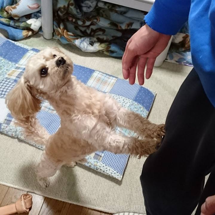 46e39b92 1da4 4ff4 a658 7fbcf4aab1bc