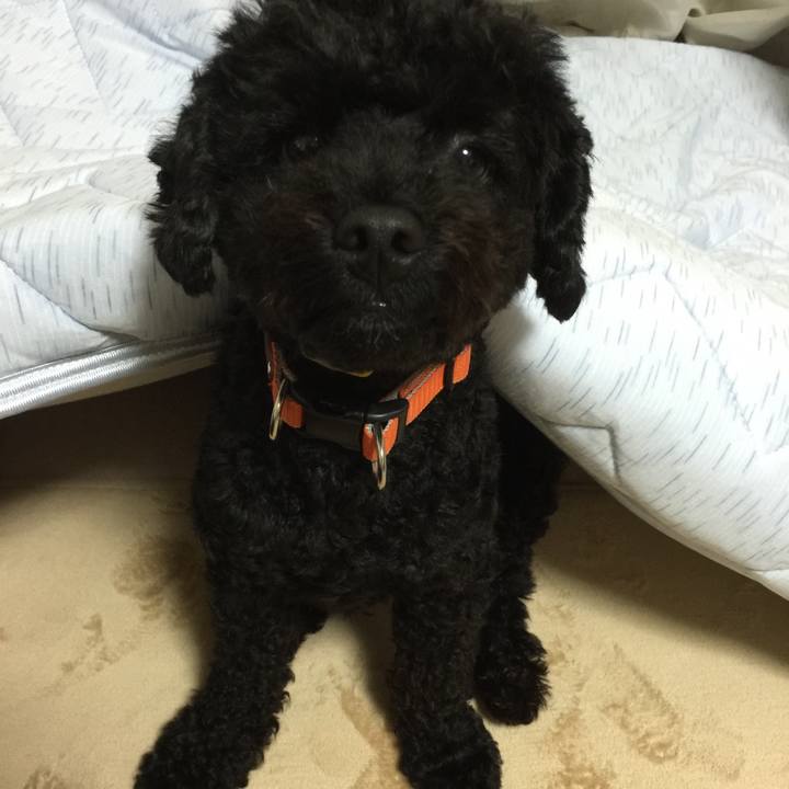 46e41ae4 85c1 4ae8 a3dc 370e69720dca