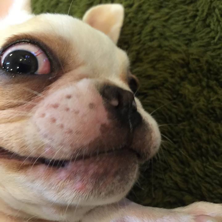 46e43858 7102 4240 a45d b79c626fccdf