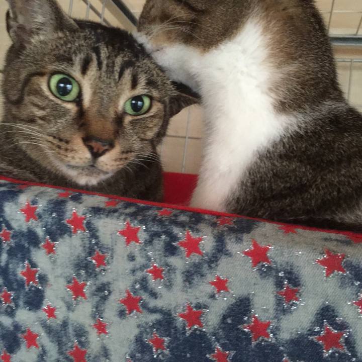 46e44fa5 83a2 40da 80c6 282910a70ef9