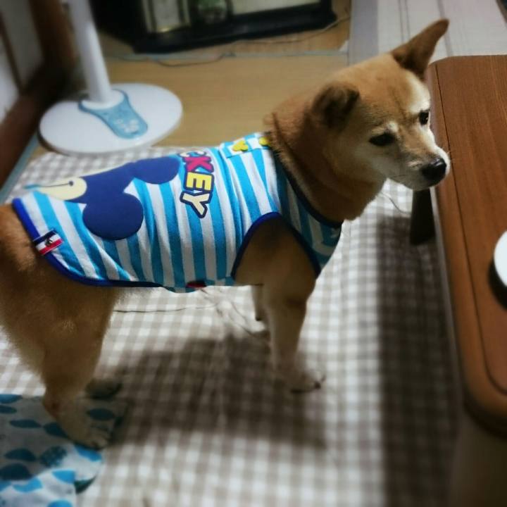 46e48a2d b0d9 4f15 bc76 5ca1c29a52b4