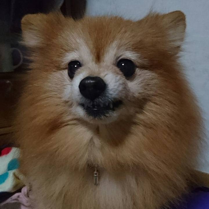 46e5f89d 845e 4398 b66c 5883fffb847c