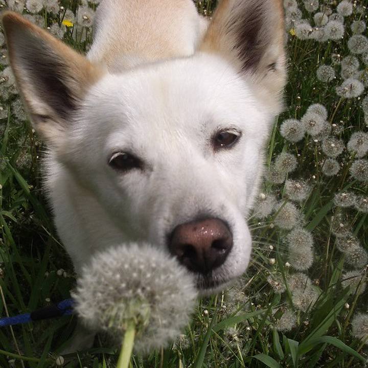 46e62c70 6df7 40e9 ba3e cff7492631d5