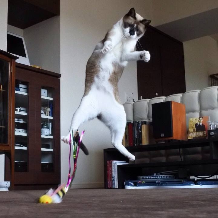 46e66711 ea8e 4240 9043 99dd969ba4e9