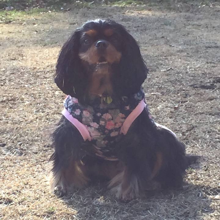 46e693ff a609 4483 9d84 d4450af5b4ad