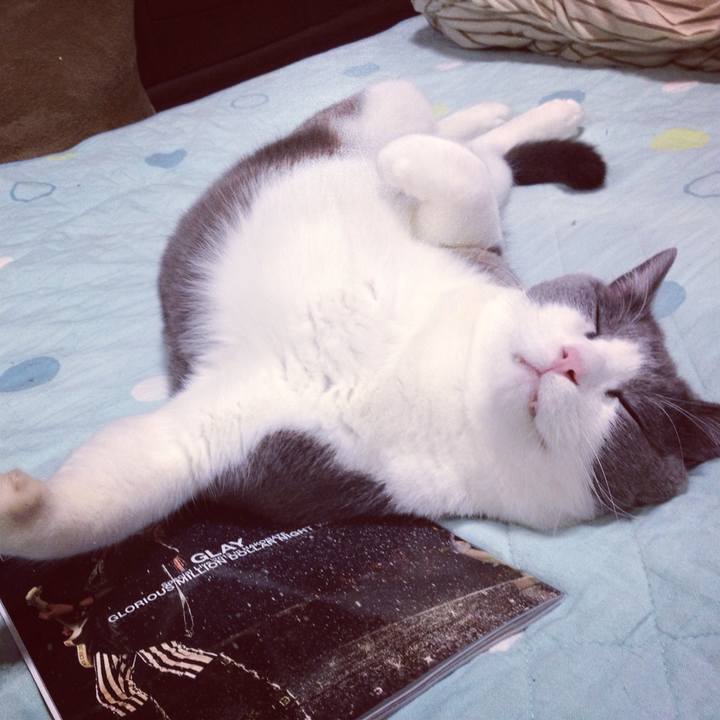 46e6b8ab c085 4d3a b8ff bd9aa7ffbb50