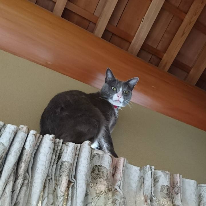 46e6ba71 c62b 491c b43f 69d5108195af