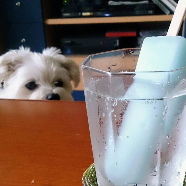 46e6cb3d e4fe 43a6 bb67 8fd23f743f87