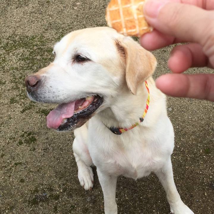 46e72638 55b2 4333 8a4e 08def5a0c6cd