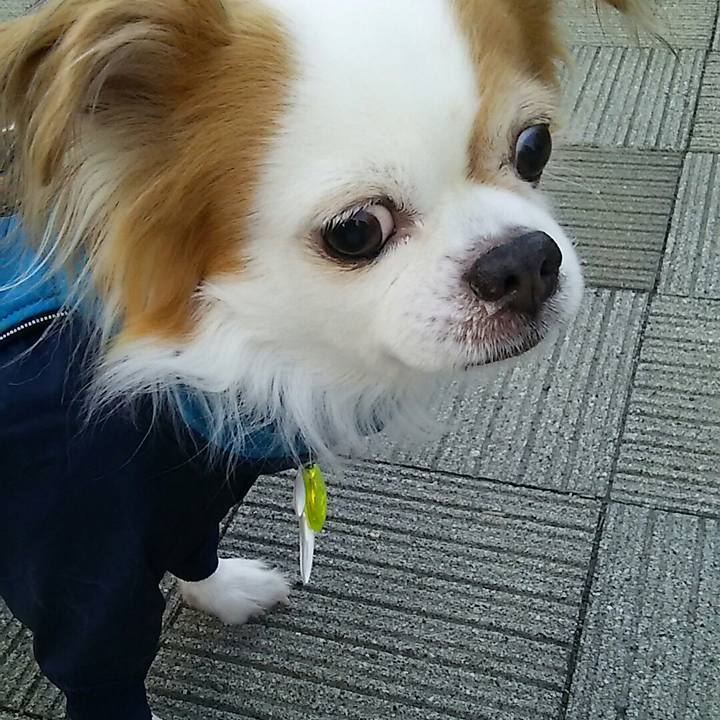 46e739e1 401a 4891 8032 423ad69092a7