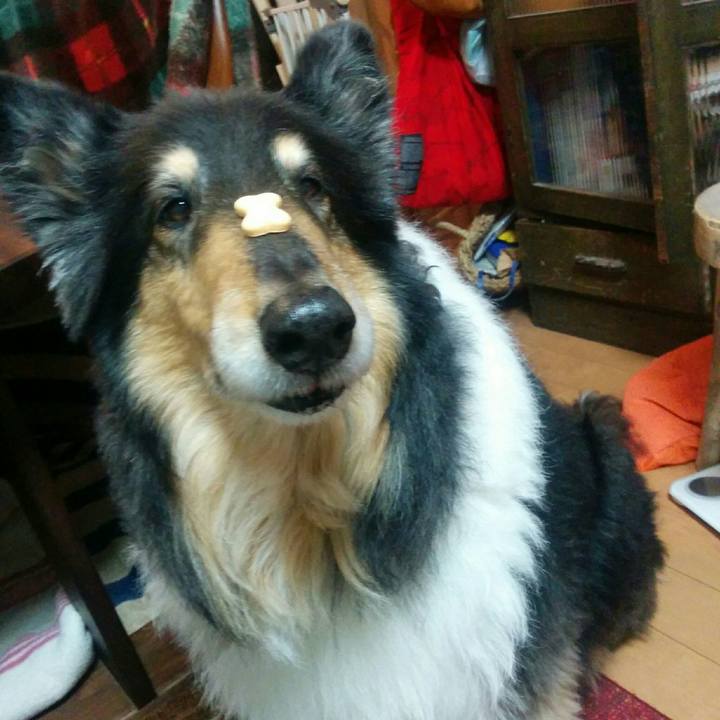 46e74485 2b4f 4068 9bda 72c61f471f2e