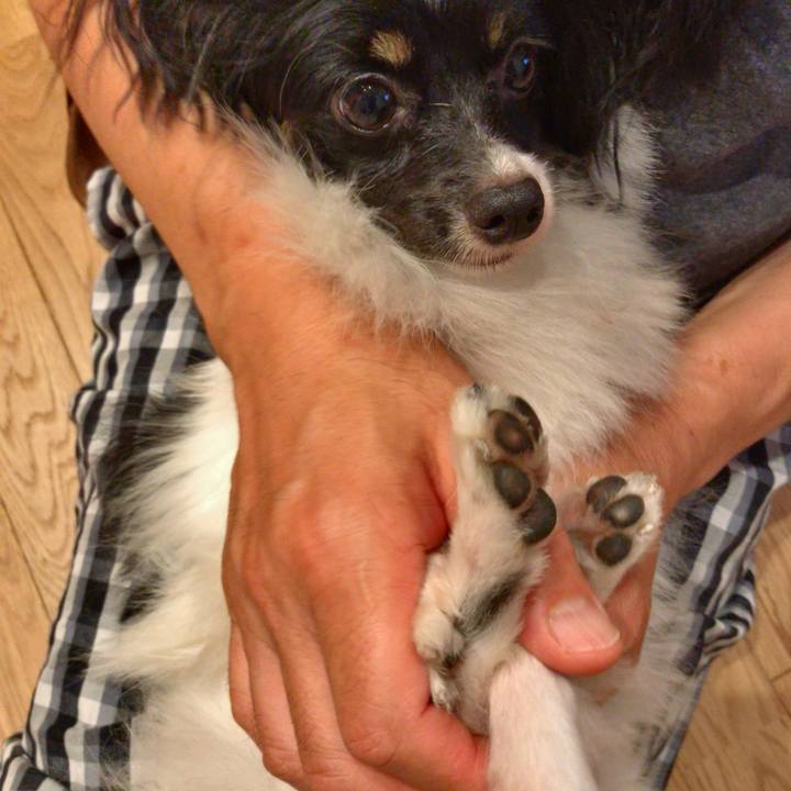 46e7788e 5949 449f bba0 1dbc65fea3e6