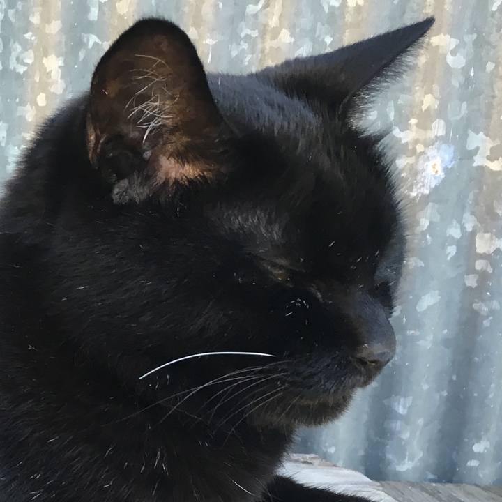 46e7e028 2cf6 412d baab 9ed2080bff4a