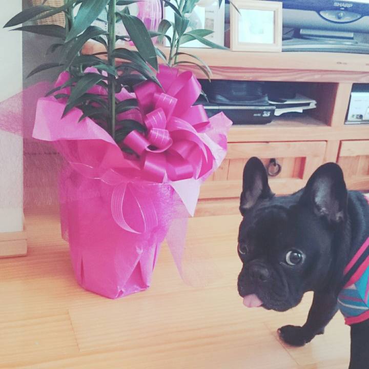 46e8b1ed 1898 4cfe a888 b6ddcc558edc